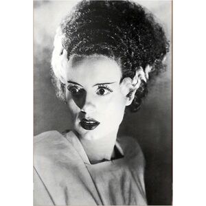 Bride Of Frankenstein Canvas Print